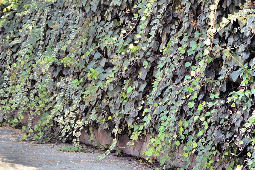 Queste vi consiglio proprio di guardarle!